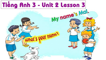 Tiếng Anh lớp 3: Unit 2 Lesson 3 - What