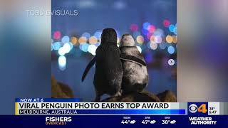 Rachel Bogle | Trending Now | Feature Reporter Anchor