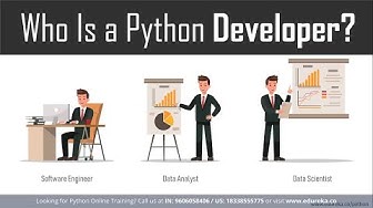 Who Is a Python Developer?