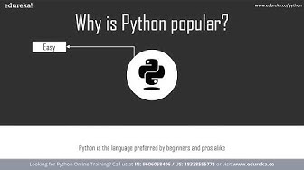 Why is Python popular?