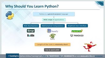 Why Should You Learn Python?