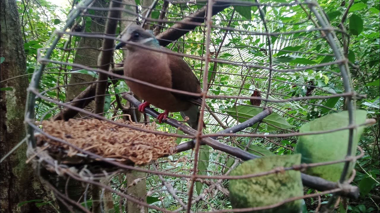 Huni Ng 6 years old na Kati,an