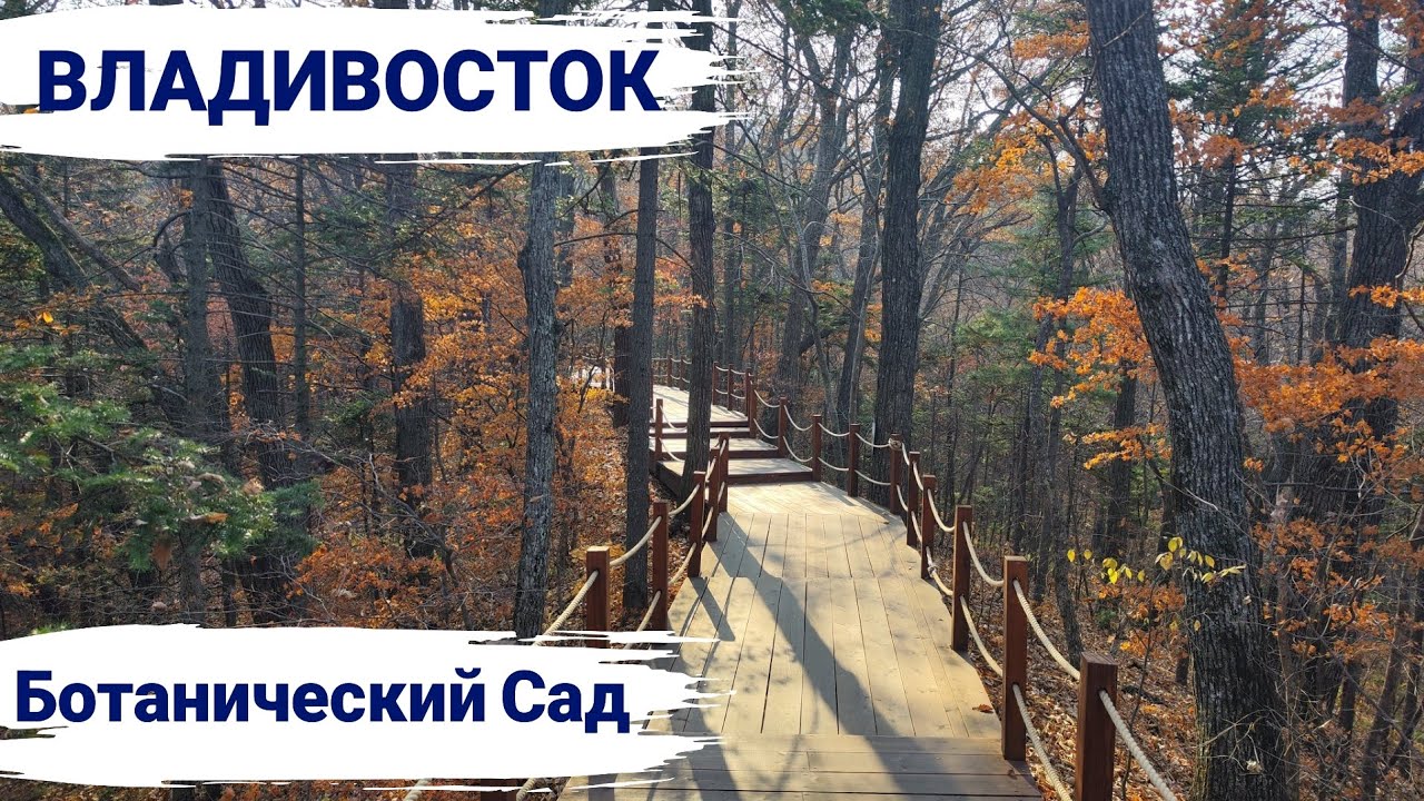 Владивосток, ноябрь 2025