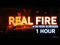 1 HOUR Fireplace Ambient Light 🔥 | Cozy Background, Live Wallpaper &amp; Screen Lighting (No Flicker HD)