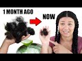 This DIY treatment STOPPED my hair loss INSTANTLY 😱 *not clickbait!!*