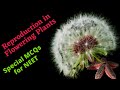 CLASS XII MCQs for NEET || Biology || Reproduction in Flowering Plants MCQs || by Shiksha House