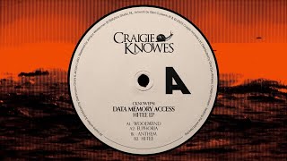 Data Memory Access - Woodwind [Craigie Knowes]