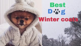 Best Dog winter coats
