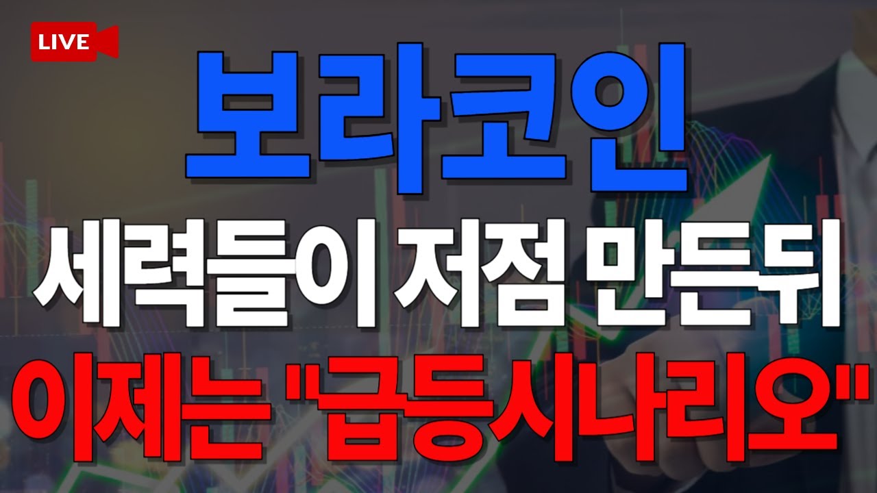 🚨긴급🚨 보라코인, 세력들이 저점 만든 뒤 이제는 