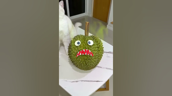 The evil durian was chasing me 😵‍💫 #cat #cats #fyp #trending