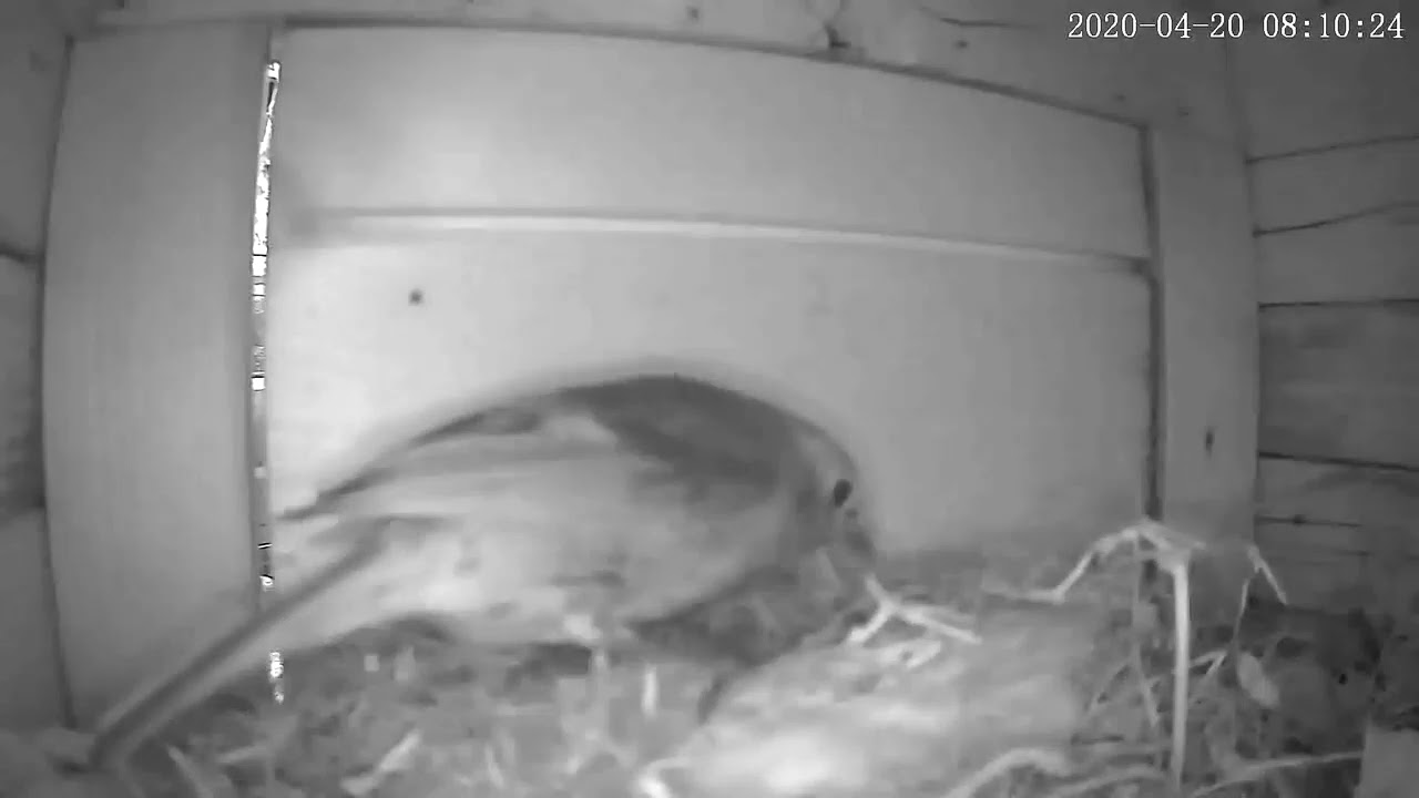 悪天候は仕方ない