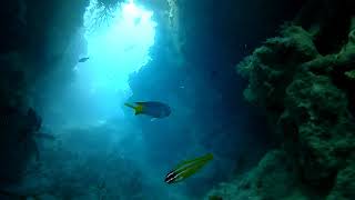 Great Barrier Reef from Cave / Open your favorite under water window. No Music Great Barrier Reef from Cave / Open your favorite under water window. No Music