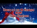 Овны с 1 по 15 Января 2020 Таро Прогноз