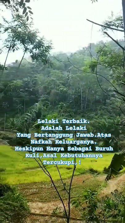 Sawah Di Tepi sungai #shortvideo