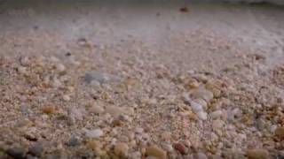 BBC Stargazing Live - Tidal Force