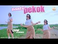 Dj Santri Pekok - Dini Kurnia (Genduk denok santri lulusan pondok isih perawan dorong tau kedemok)