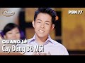 Pbn 77  quang l  cay ng b mi