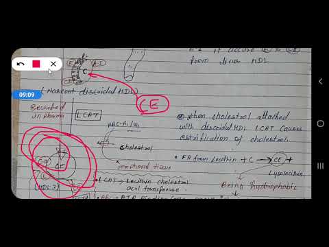 Video: Suure Tihedusega Lipoproteiin (HDL): Normaalne