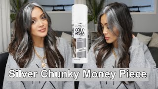 Giving Myself A Silver Money Piece || L’Oréal Colorista Spray