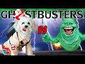 Funny dog vs Slimer Ghostbusters Doggy edition