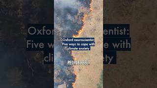 Oxford neuroscientist: Five ways to cope with climate anxiety 🌍