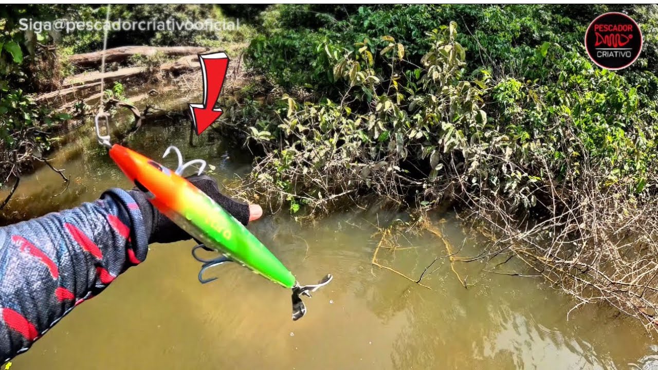 ISCA GRANDE NA BOCA DE IGARAPÉ😳PREPARA O CORAÇÃO! Pescaria