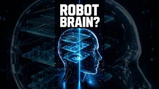 The Robot Brain Myth Explained 🤖🧠 #NeuralNetworks #HowAIWorks #TechEducation