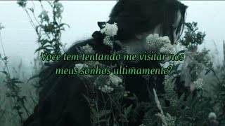Blackbriar   Floriography traduo