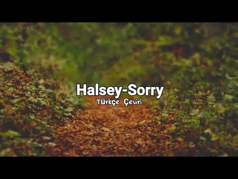 Halsey-Sorry Türkçe Çeviri