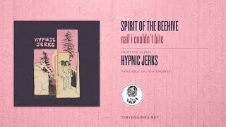 Video thumbnail of "Spirit of the Beehive - nail i couldn't bite"