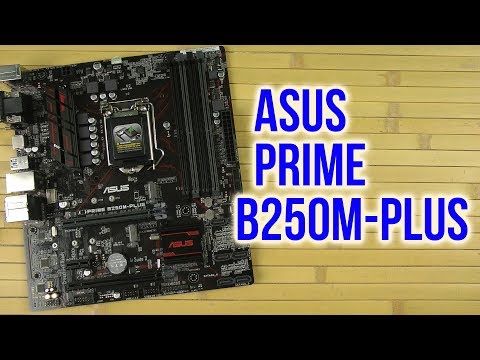 Распаковка Asus Prime B250M-Plus