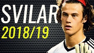 Mile Svilar • 2018/19 • Benfica • Best Saves Compilation • HD