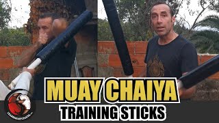 Training Sticks for Defense Practice - Learn Muay Chaiya screenshot 4