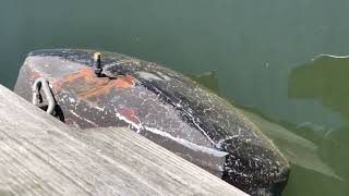 Winterizing our floating dock