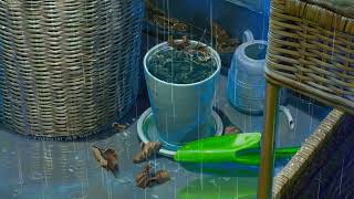 yawadey  Burna Boy slowed  Reverb