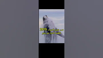 صرخة الحوت صرخة الحوت الحوت الازرق الأزرق الازياء 2019 2024 كربلاءالمقدسه 