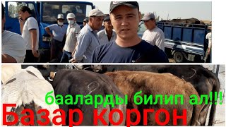 Базар коргон мал базары 2 августь мал арзандап калды