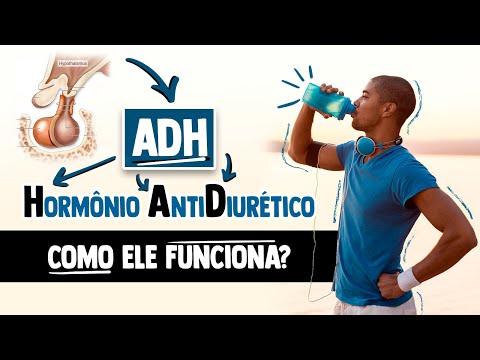 Vídeo: Onde é sintetizado o hormônio antidiurético e onde atua?