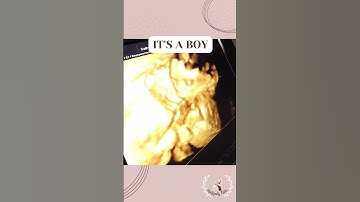 GENDER REVEAL! IT