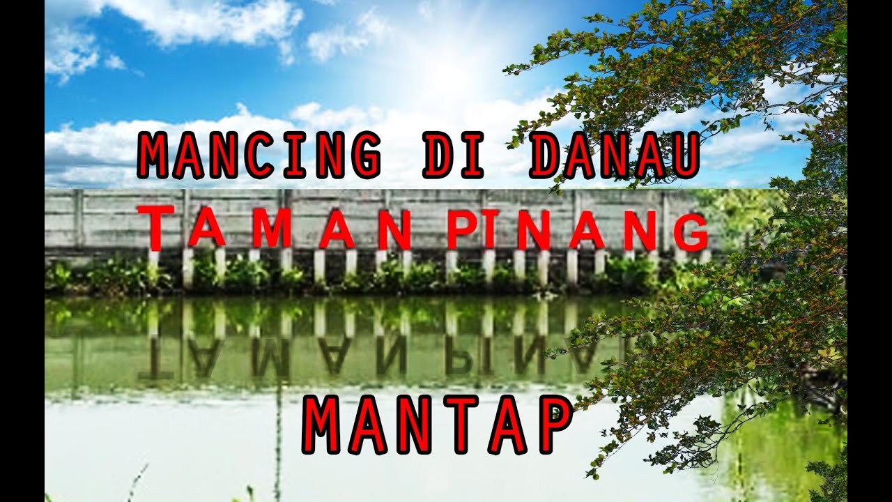 TAMAN PINANG cipayung | Buat Kalian Yang Hobi Memancing