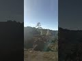 Sosny kanaryjskie – Teide 🌲#wyspykanaryjskie #teneryfa #teide #parknarodowy #travel #grudzień2025