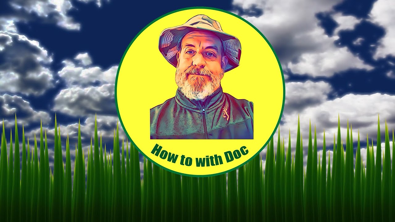 Bermuda Lawn Care Questions and Answers YouTube