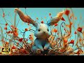 Mysterious Rabbits Between Dream and Reality | Surreal Music & Art