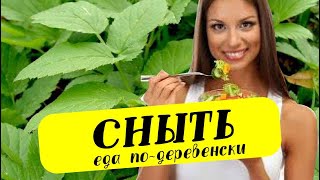 Сныть. Сбор и приготовление.