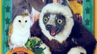 Opening To Zoboomafoo: Play Day at Animal Junction 2000 VHS