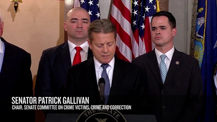 Senator Gallivan Calls on NYS Board of Parole to D...