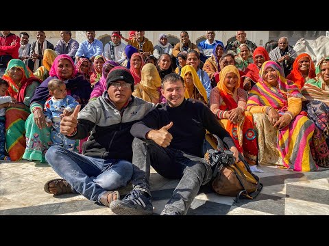 Видео: Где выращивают баклажан в Индии?