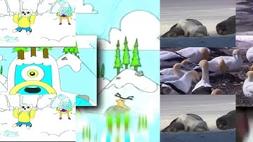 11 Shuric Scans with are slides