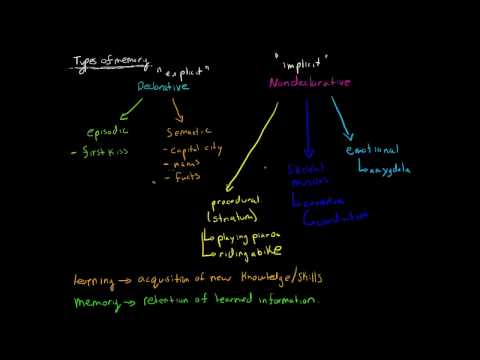 Declarative vs Nondeclarative Memory