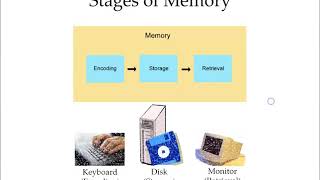 Famous AP Psy Ch 9 p1 Memory Wealth